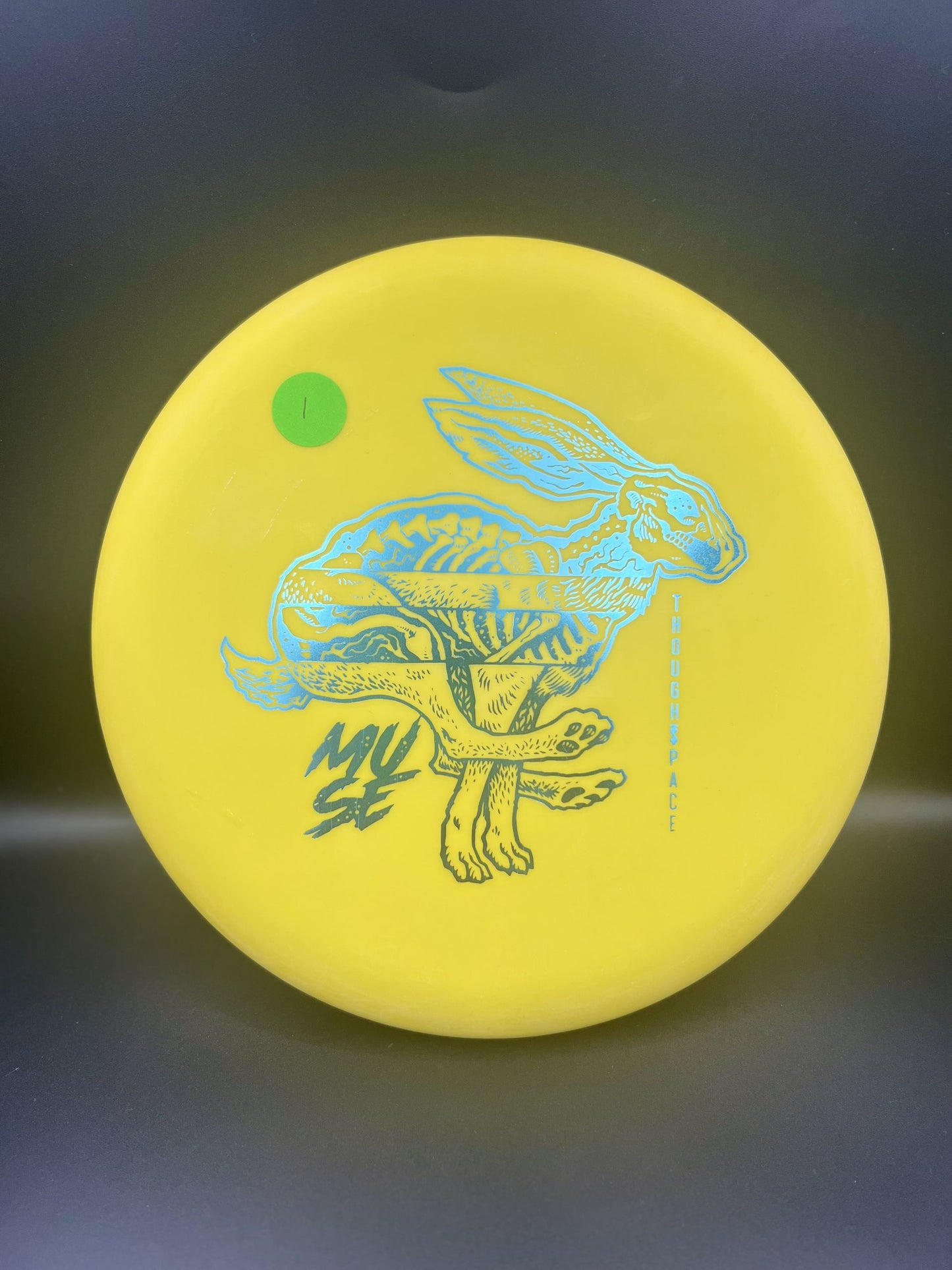 Thoughtspace Nerve Muse