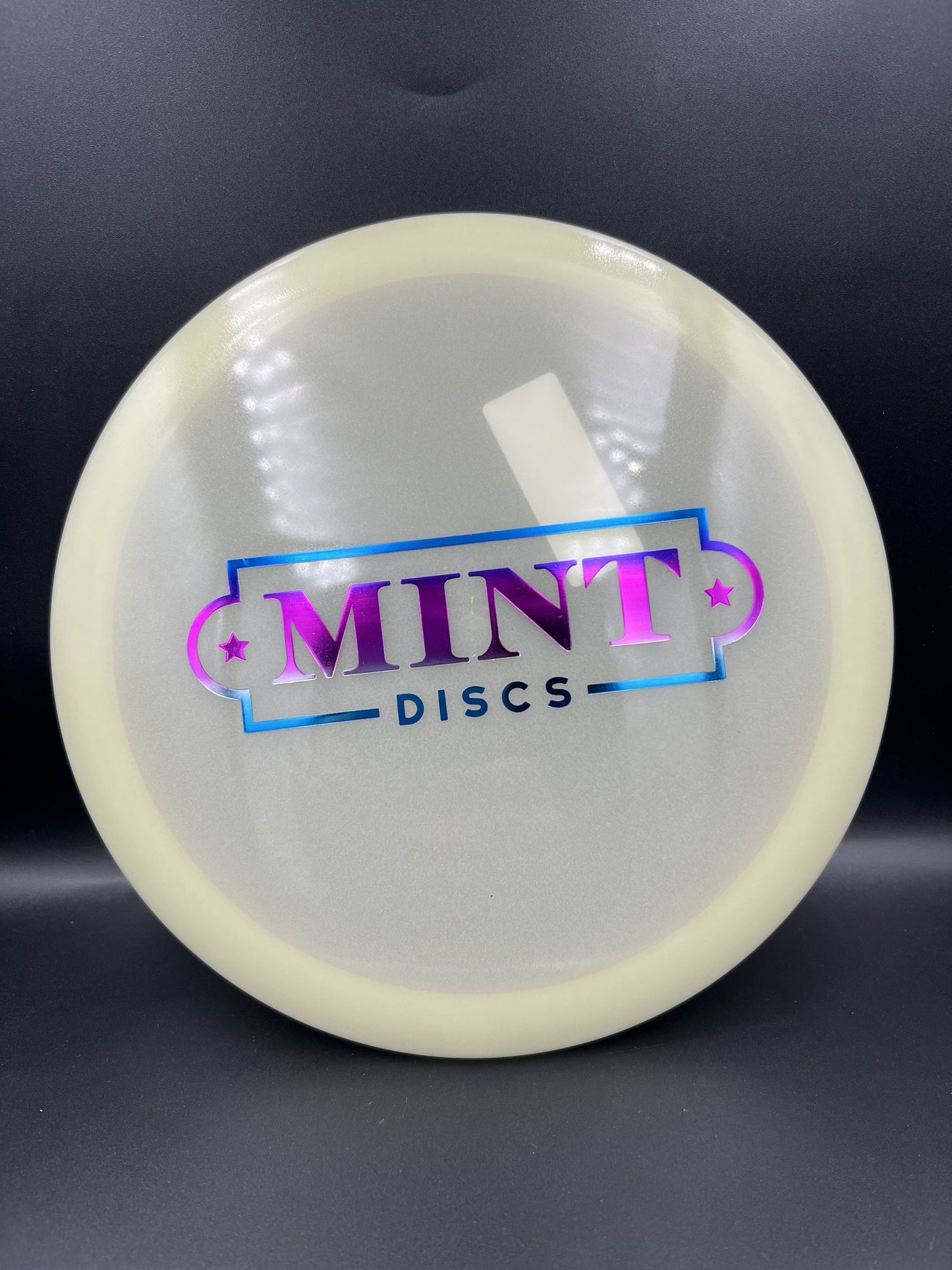 Mint Nocturnal Salamander