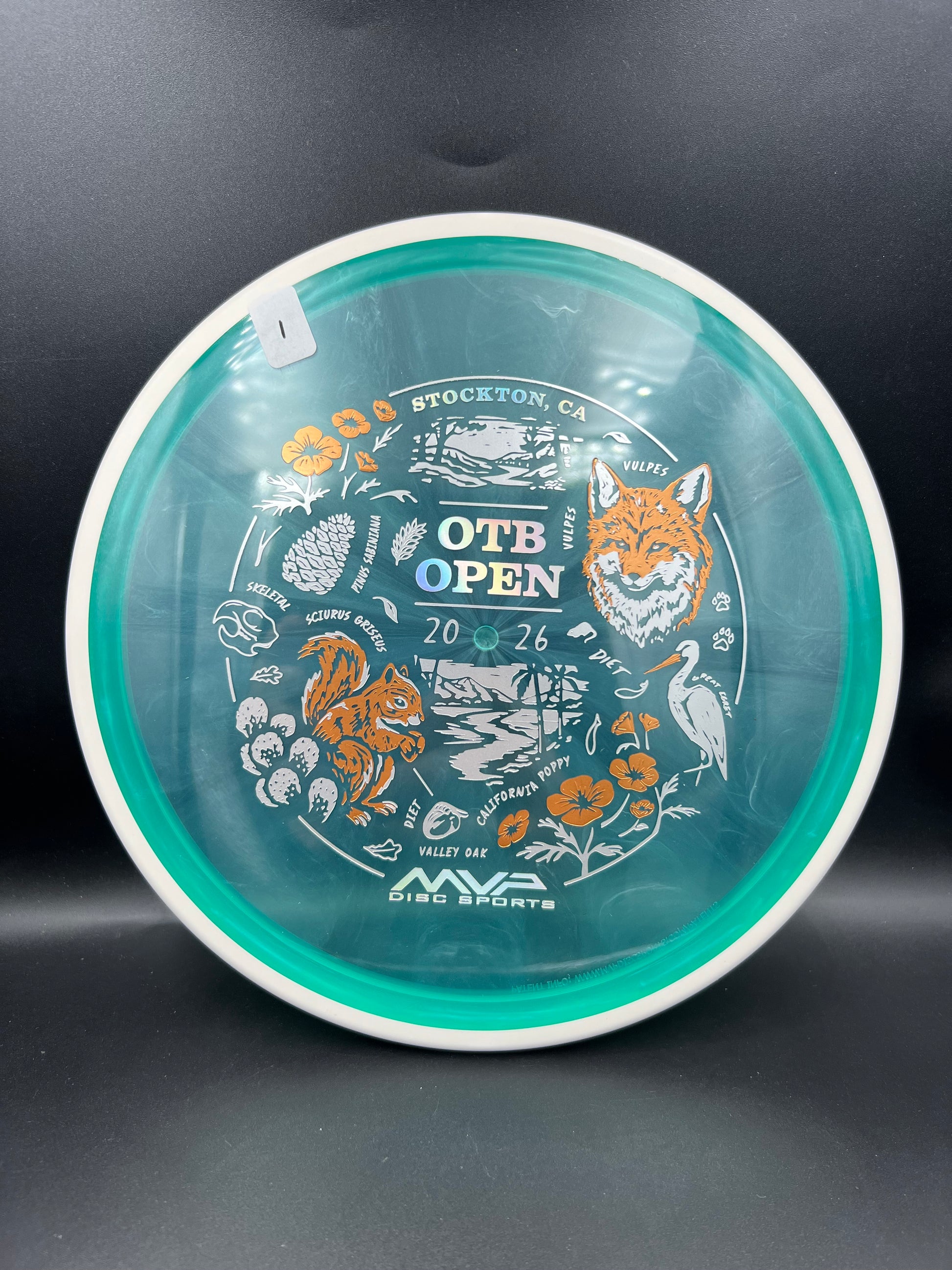 MVP Proton Reactor OTB 2026 Minty Light Blue (1) - 176g