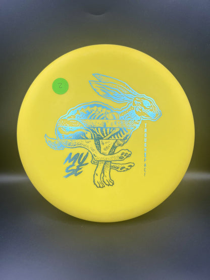 Thoughtspace Nerve Muse