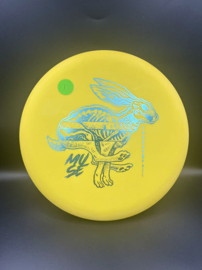 Thoughtspace Nerve Muse