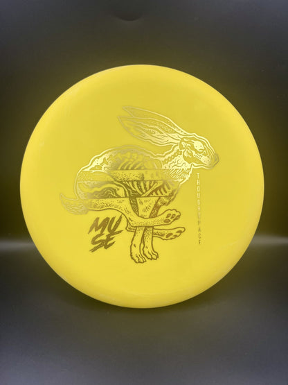 Thoughtspace Nerve Muse