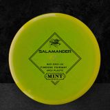 Mint Apex Salamander